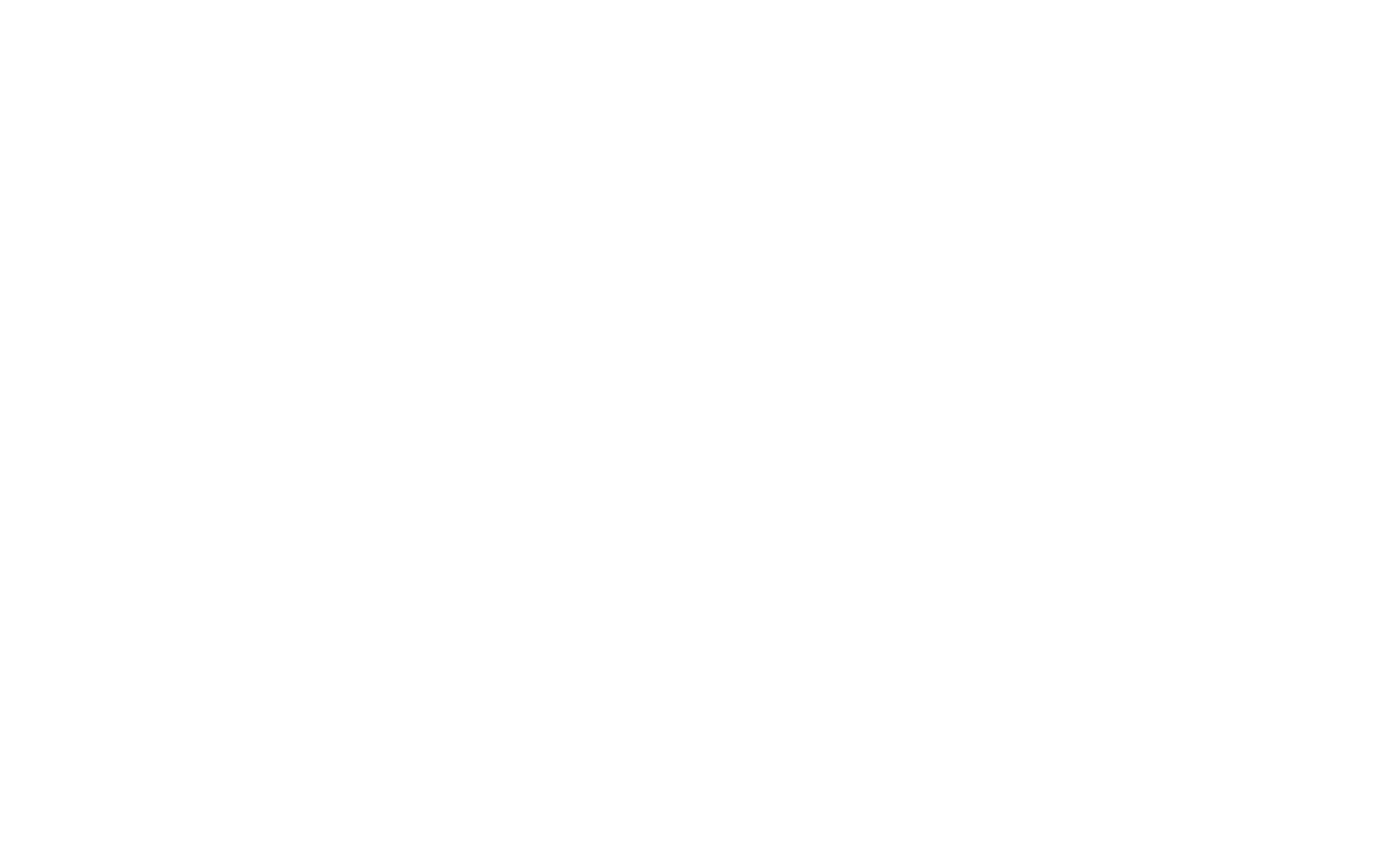 light logo